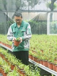 An Agricultural Garden in Hangzhou.