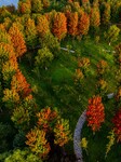 Maple Leaves Turn Red in Huai 'an.