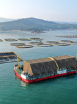 Experimental Field of Far-reaching Marine Aquaculture Project in Fuzhou.