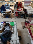 Dengue Patients In Dhaka, Bangladesh