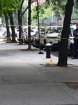 Man Shot Multiple Times In The Back In Manhattan New York