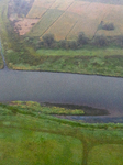 Dead Fish Found In Vistula River Due To Water Pollution