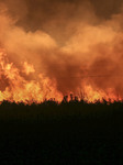 A Fire at A Wood Processing Plant in Yuncheng.