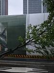 Typhoon Bebinca Hit Nanjing.