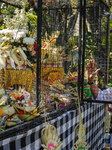 Pujawali Tradition In Indonesia