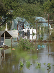 Wroclaw City Prepares For The Flood Wave On The Oder River.