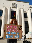 Protesters For The Sterilization Of Stray Cats In Villeurbanne