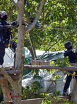 4th Day Of Attempt Of The Cnamo, Police Special Unit, To Dislodge 'ecureuils' Who Live In Tree On The Planned A69 Highway