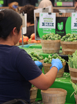 Farmers Market In Markham