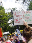 Brazil Climate Protests