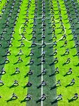 Students Practice Martial Arts.