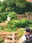 Stray Cat at The Summer Palace in Beijing.