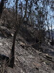 Forest Fire In Quito