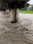 Water Level Of Mahananda River