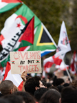 Rally In Paris In Support Of Lebanon And Palestine