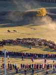 Ten Thousand Steeds Gallop at Ulan Butong Grassland in Chifeng.