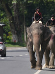 Daily Life In India 