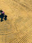 A Sun-drying Farm in Suqian.