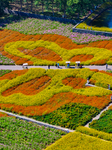 Santaishan National Forest Park in Suqian.