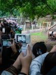 Giant Panda Play at Chongqing Zoo.