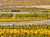 An Ecological Shelterbelt Along The Heihe River in Zhangye.