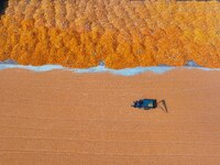 A Farmer Dries Corn in Liaocheng