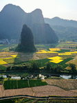 Colorful Rice Landscape in Guilin