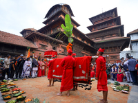 Nepal Observes Phulpati Ceremony