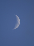 A Rising Crescent Moon