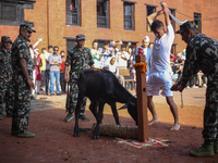 Dashain Festival Celebration In Nepal.