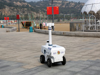 Public Security Intelligent Security Robot