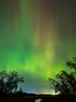 Aurora Borealis Over Minnesota