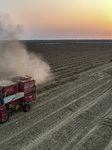 Peanuts Harvest in Yongji.