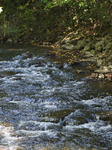 Unseasonably Warm Weather In Southern Ontario