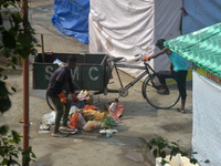 Workers Clean A Ground