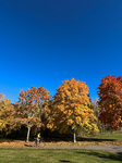 Autumn In Linkoping