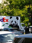 New Pandas Arrive In Washington DC At The National Zoo On October 15, 2024