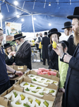 Sukkot 2024 In Jerusalem