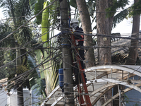 Rain Causes Destruction And Many Trees Fall In São Paulo