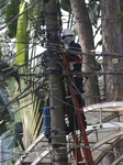 Rain Causes Destruction And Many Trees Fall In São Paulo