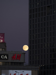 Full Moon Over Poland