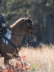 U.S. Civil War (1861-1865) Reenactors