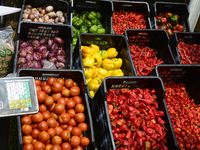 2024 World Food Day In Lagos, Nigeria