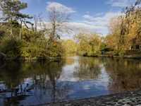 Park, Green Space, Council, Lake, Autumn. Autumnal, Sunshine, Trees, Shrubs, Reflections