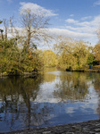 Park, Green Space, Council, Lake, Autumn. Autumnal, Sunshine, Trees, Shrubs, Reflections