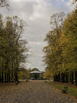 Park, Green Space, Council, Lake, Autumn. Autumnal, Sunshine, Trees, Shrubs, Bandstand