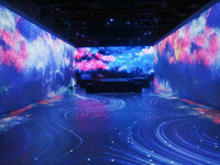 Three-dimensional Light Show in Shanghai