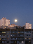 Hunter's Moon in Kyiv