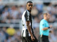 Newcastle United FC v Brighton & Hove Albion FC - Premier League