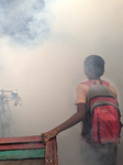 Mosquito Repellent Spraying In Dhaka